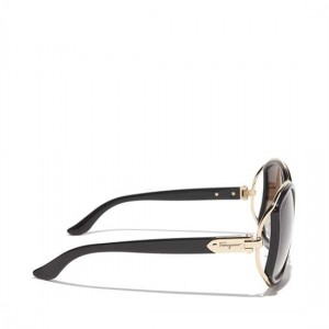 Salvatore Ferragamo Buckle Sunglasses Online SFS-UU261 For Women